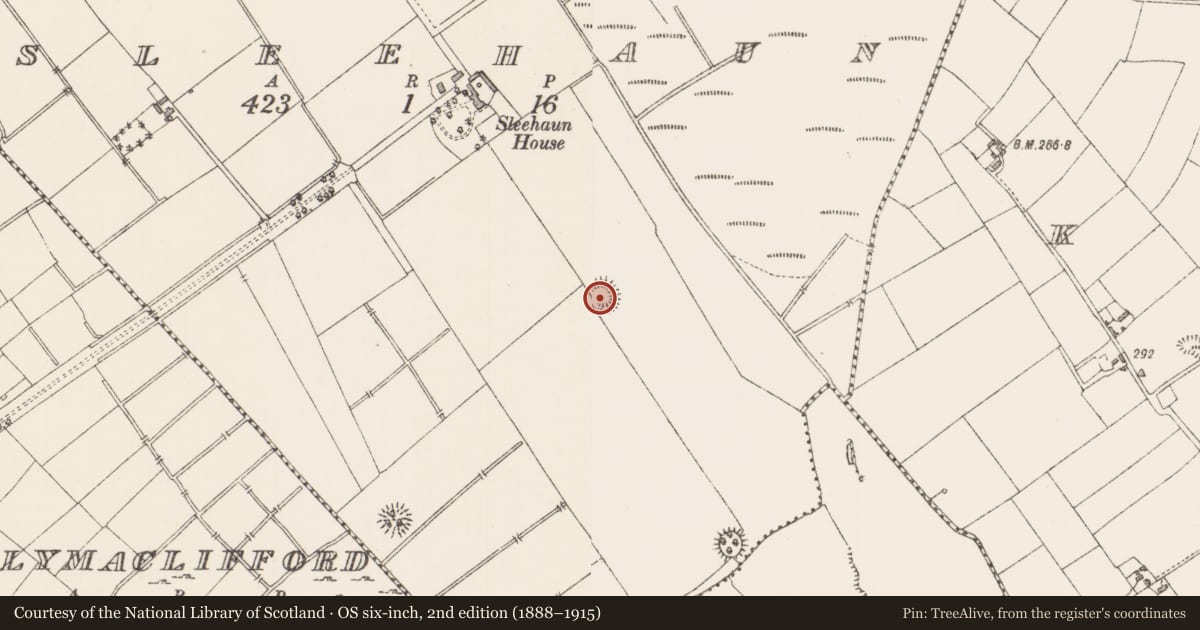 Ordnance Survey six-inch map, 2nd edition (1888–1915) covering the location of Ringfort - rath, Sleehaun, County Longford, with a pin at the register's coordinates