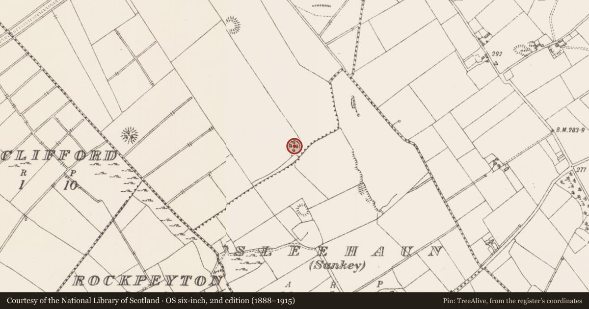 Ordnance Survey six-inch map, 2nd edition (1888–1915) covering the location of Ringfort - rath, Sleehaun, County Longford, with a pin at the register's coordinates