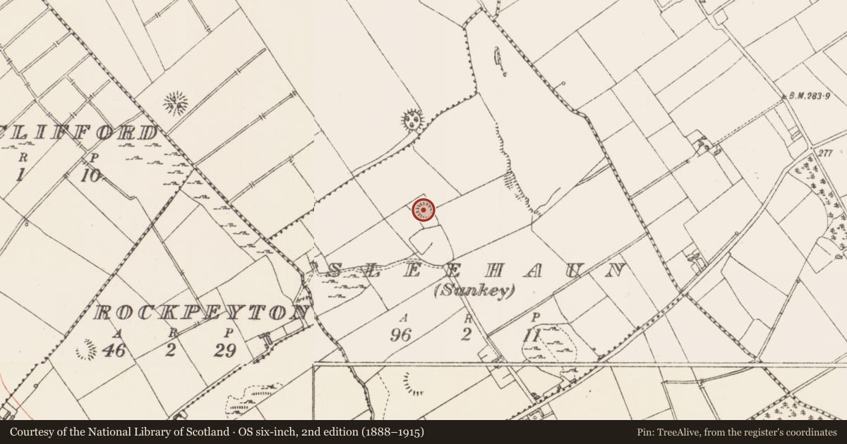 Ordnance Survey six-inch map, 2nd edition (1888–1915) covering the location of Ringfort - rath, Sleehaun (Sankey), County Longford, with a pin at the register's coordinates