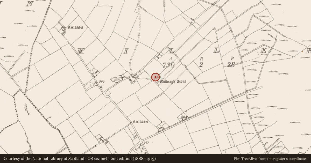 Ordnance Survey six-inch map, 2nd edition (1888–1915) covering the location of Ecclesiastical enclosure, Killeen, County Longford, with a pin at the register's coordinates