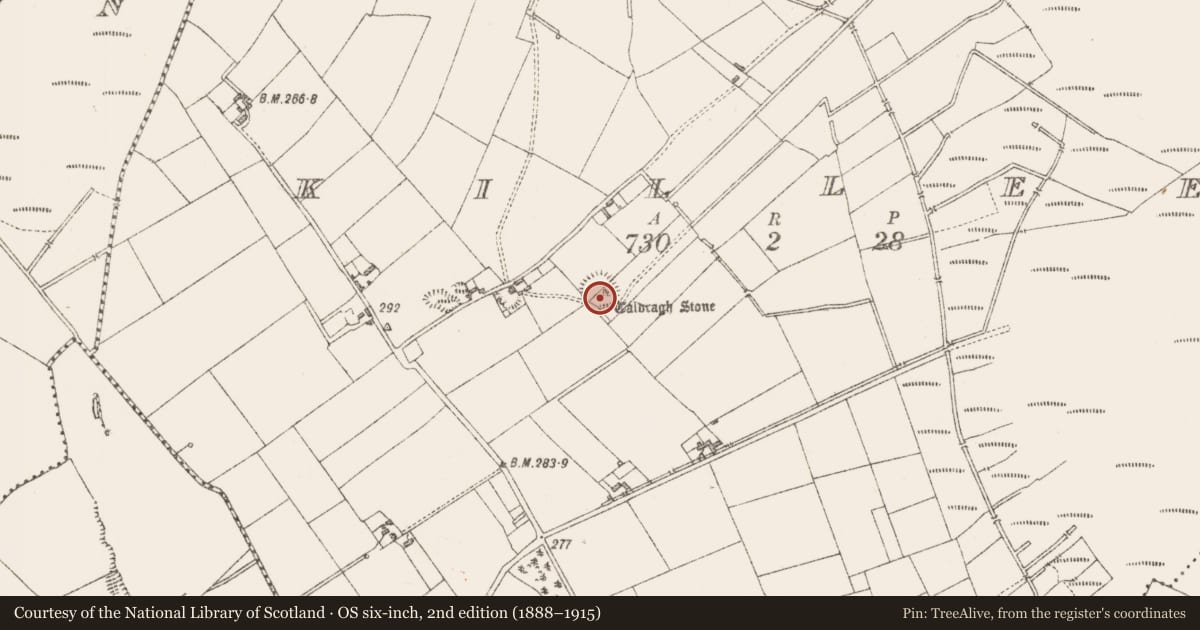 Ordnance Survey six-inch map, 2nd edition (1888–1915) covering the location of Cross-inscribed stone, Killeen, County Longford, with a pin at the register's coordinates