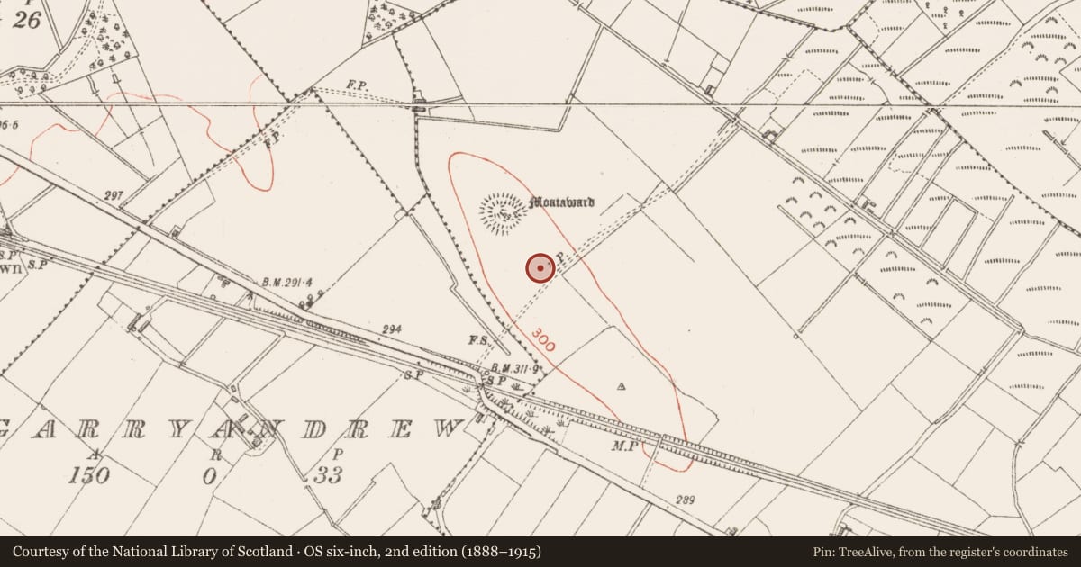 Ordnance Survey six-inch map, 2nd edition (1888–1915) covering the location of Enclosure, Lisnagrish, County Longford, with a pin at the register's coordinates