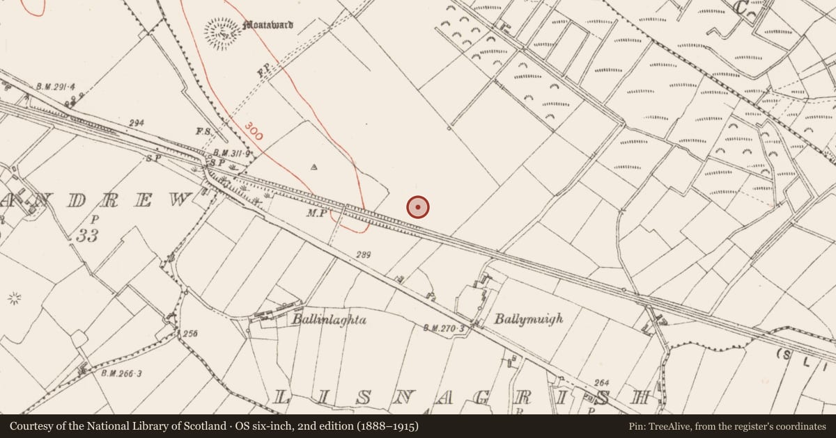 Ordnance Survey six-inch map, 2nd edition (1888–1915) covering the location of Enclosure, Lisnagrish, County Longford, with a pin at the register's coordinates