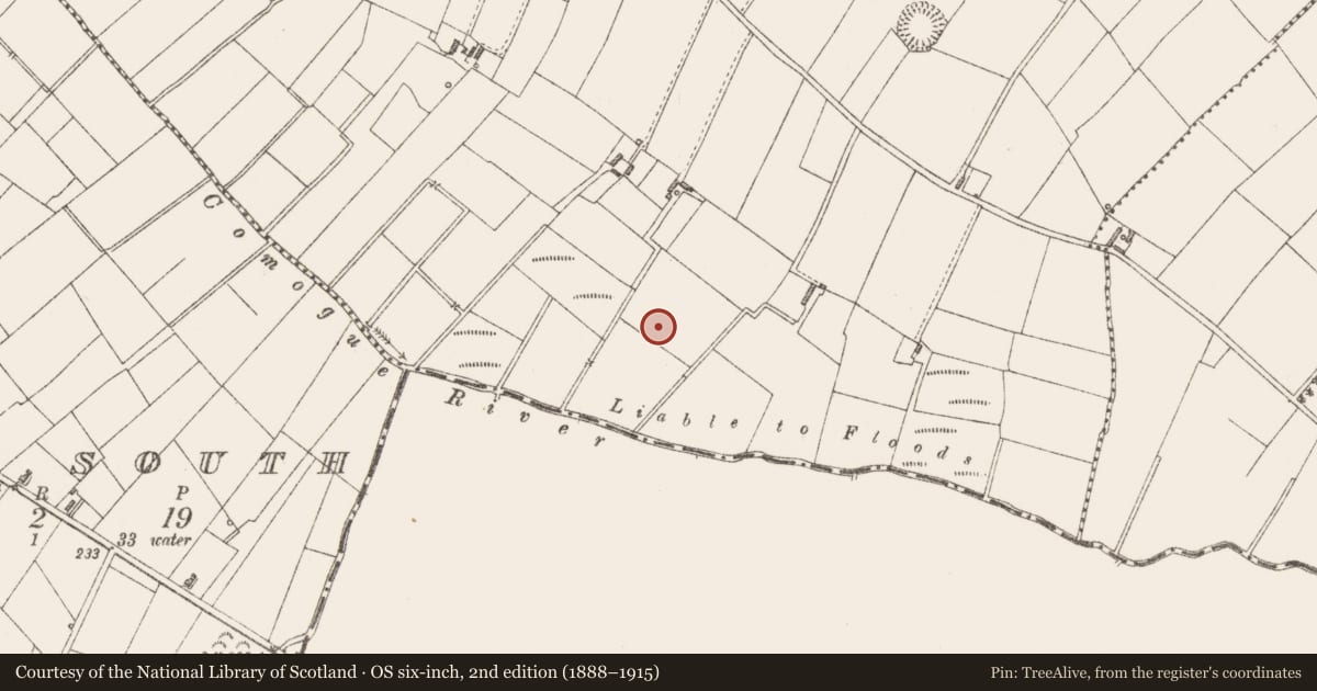 Ordnance Survey six-inch map, 2nd edition (1888–1915) covering the location of Earthwork, Glen, County Longford, with a pin at the register's coordinates