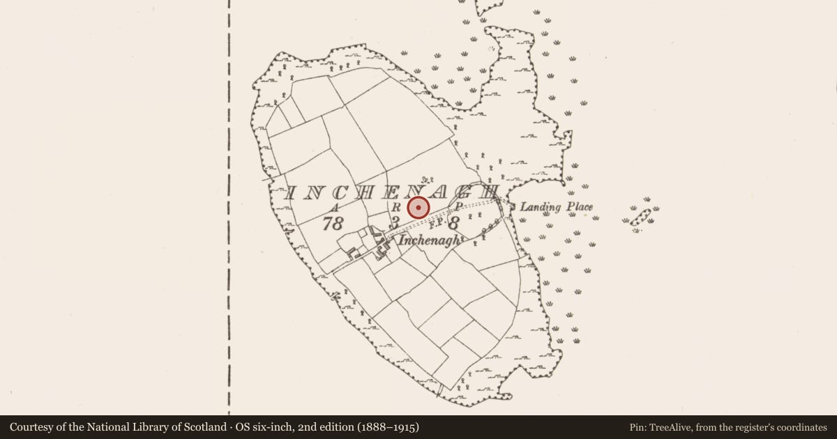 Ordnance Survey six-inch map, 2nd edition (1888–1915) covering the location of Ringfort - rath, Inchenagh, County Longford, with a pin at the register's coordinates