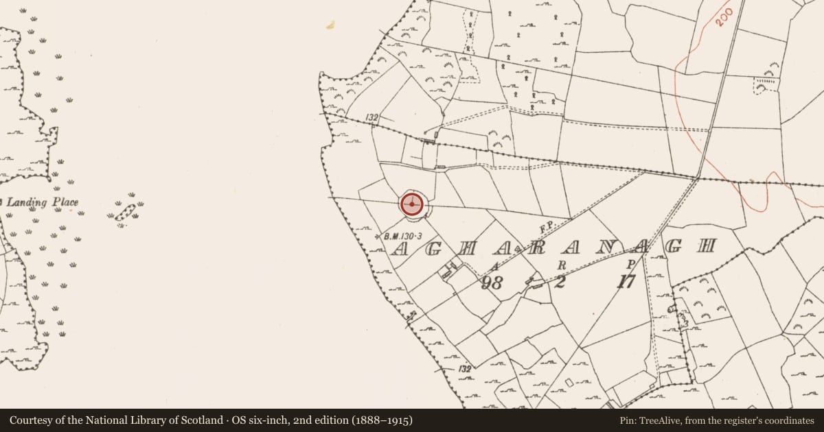 Ordnance Survey six-inch map, 2nd edition (1888–1915) covering the location of Ringfort - cashel, Agharanagh, County Longford, with a pin at the register's coordinates