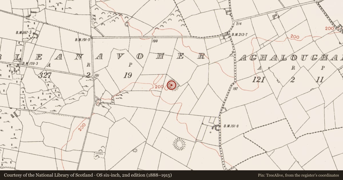 Ordnance Survey six-inch map, 2nd edition (1888–1915) covering the location of Ringfort - rath, Bleanavoher, County Longford, with a pin at the register's coordinates