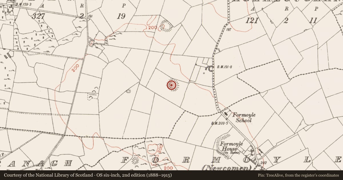 Ordnance Survey six-inch map, 2nd edition (1888–1915) covering the location of Ringfort - rath, Bleanavoher, County Longford, with a pin at the register's coordinates