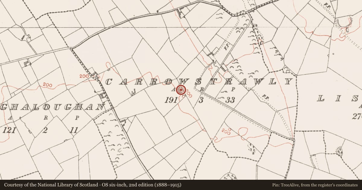 Ordnance Survey six-inch map, 2nd edition (1888–1915) covering the location of Ringfort - rath, Carrowstrawly, County Longford, with a pin at the register's coordinates