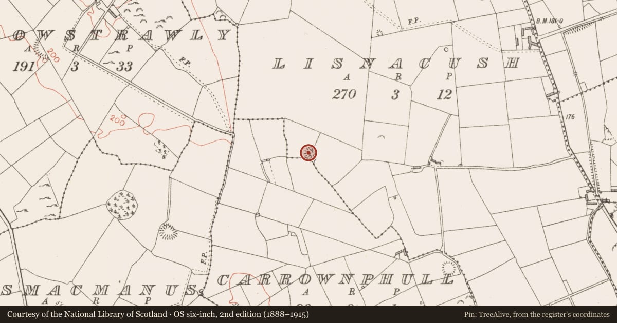 Ordnance Survey six-inch map, 2nd edition (1888–1915) covering the location of Ringfort - rath, Lisnacush, County Longford, with a pin at the register's coordinates