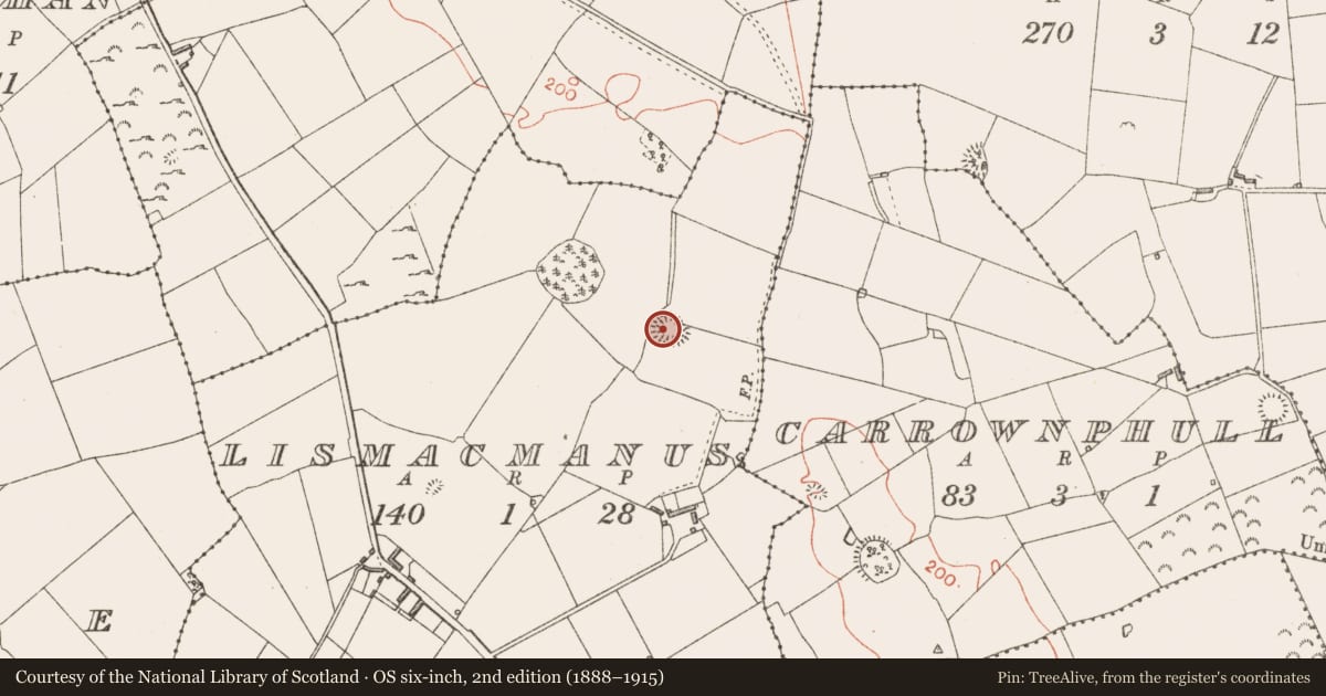 Ordnance Survey six-inch map, 2nd edition (1888–1915) covering the location of Ringfort - rath, Lismacmanus, County Longford, with a pin at the register's coordinates