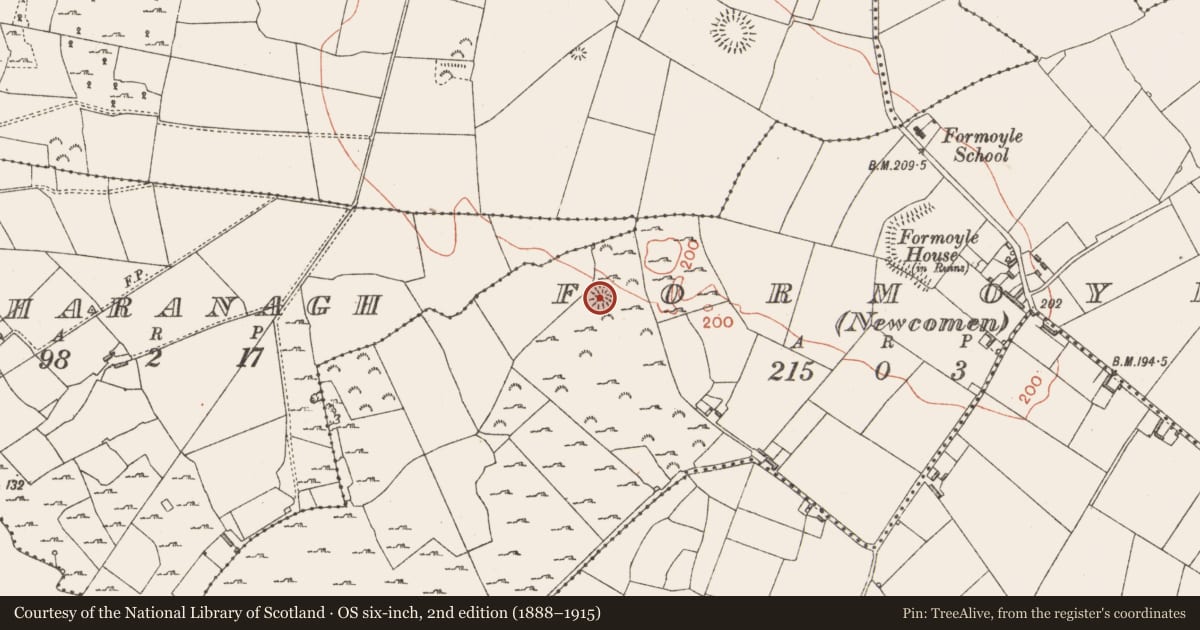 Ordnance Survey six-inch map, 2nd edition (1888–1915) covering the location of Ringfort - cashel, Formoyle (Newcomen), County Longford, with a pin at the register's coordinates