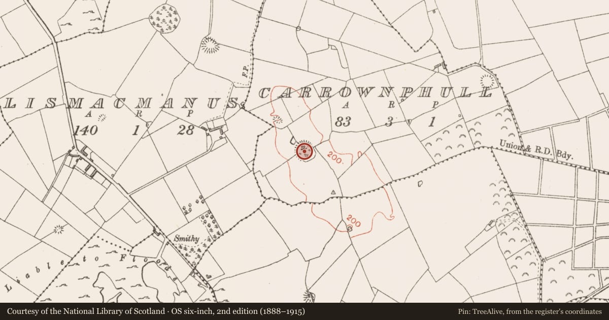 Ordnance Survey six-inch map, 2nd edition (1888–1915) covering the location of Ringfort - rath, Carrownphull, County Longford, with a pin at the register's coordinates