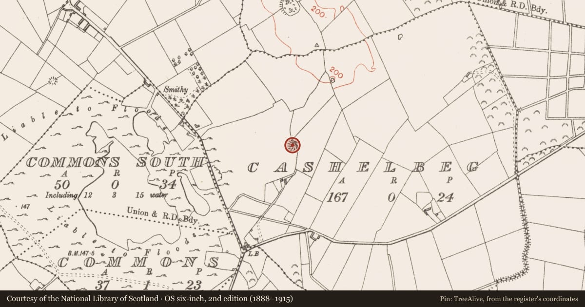 Ordnance Survey six-inch map, 2nd edition (1888–1915) covering the location of Ringfort - rath, Cashelbeg, County Longford, with a pin at the register's coordinates