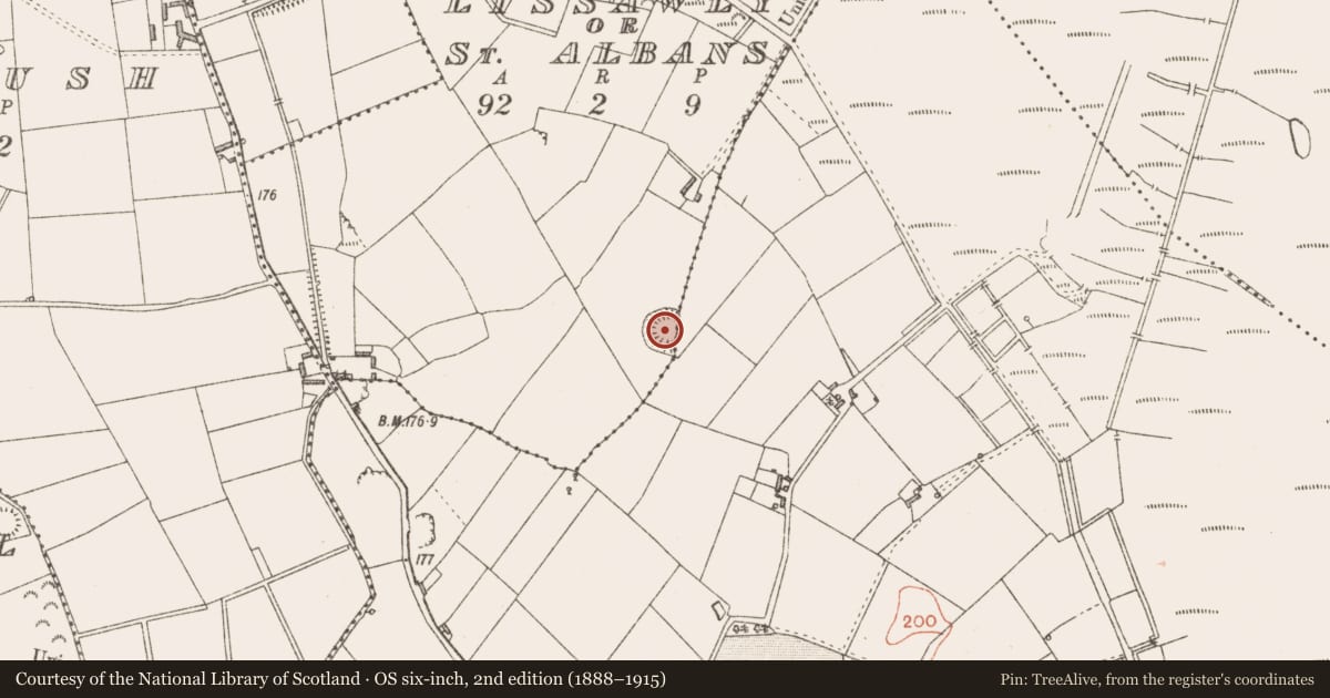 Ordnance Survey six-inch map, 2nd edition (1888–1915) covering the location of Ringfort - rath, Lissawly Or St. Alban'S, Newpark, County Longford, with a pin at the register's coordinates