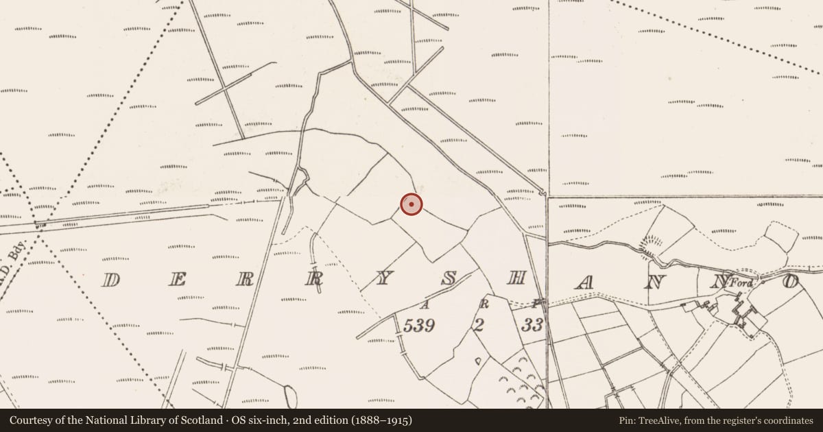 Ordnance Survey six-inch map, 2nd edition (1888–1915) covering the location of Ringfort - rath, Derryshannoge, County Longford, with a pin at the register's coordinates