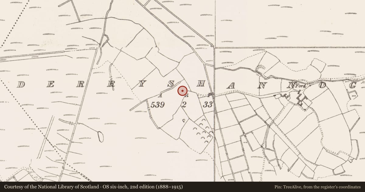 Ordnance Survey six-inch map, 2nd edition (1888–1915) covering the location of Ringfort - rath, Derryshannoge, County Longford, with a pin at the register's coordinates
