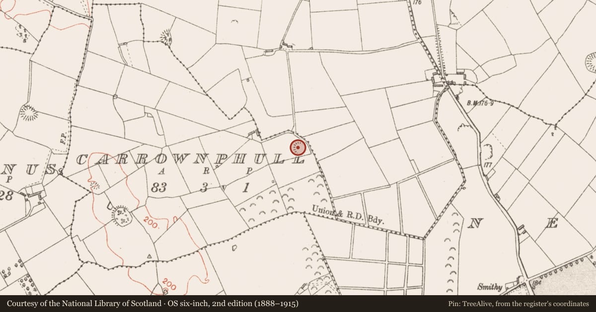Ordnance Survey six-inch map, 2nd edition (1888–1915) covering the location of Ringfort - rath, Carrownphull, County Longford, with a pin at the register's coordinates