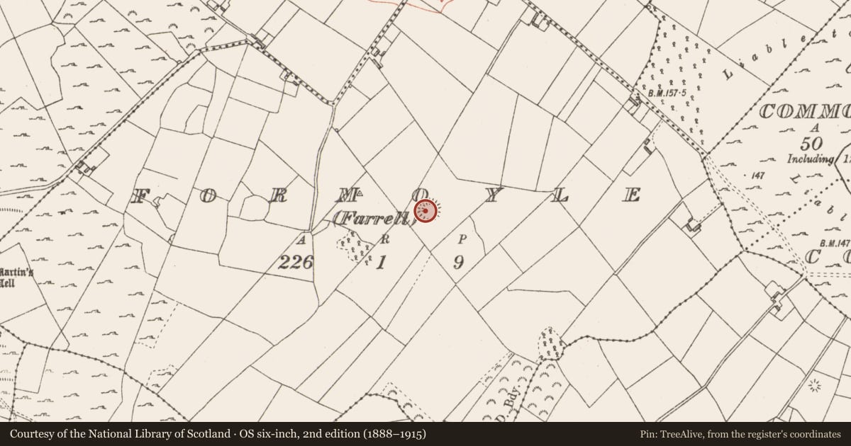 Ordnance Survey six-inch map, 2nd edition (1888–1915) covering the location of Ringfort - rath, Formoyle (Farrell), County Longford, with a pin at the register's coordinates