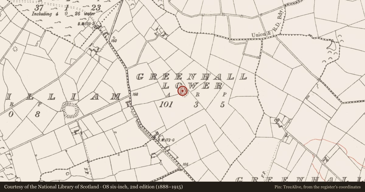 Ordnance Survey six-inch map, 2nd edition (1888–1915) covering the location of Ringfort - rath, Greenhall Lower, County Longford, with a pin at the register's coordinates