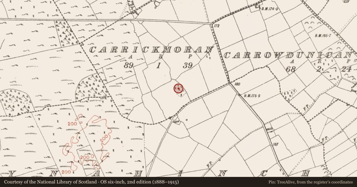 Ordnance Survey six-inch map, 2nd edition (1888–1915) covering the location of Ringfort - rath, Carrickmoran, County Longford, with a pin at the register's coordinates