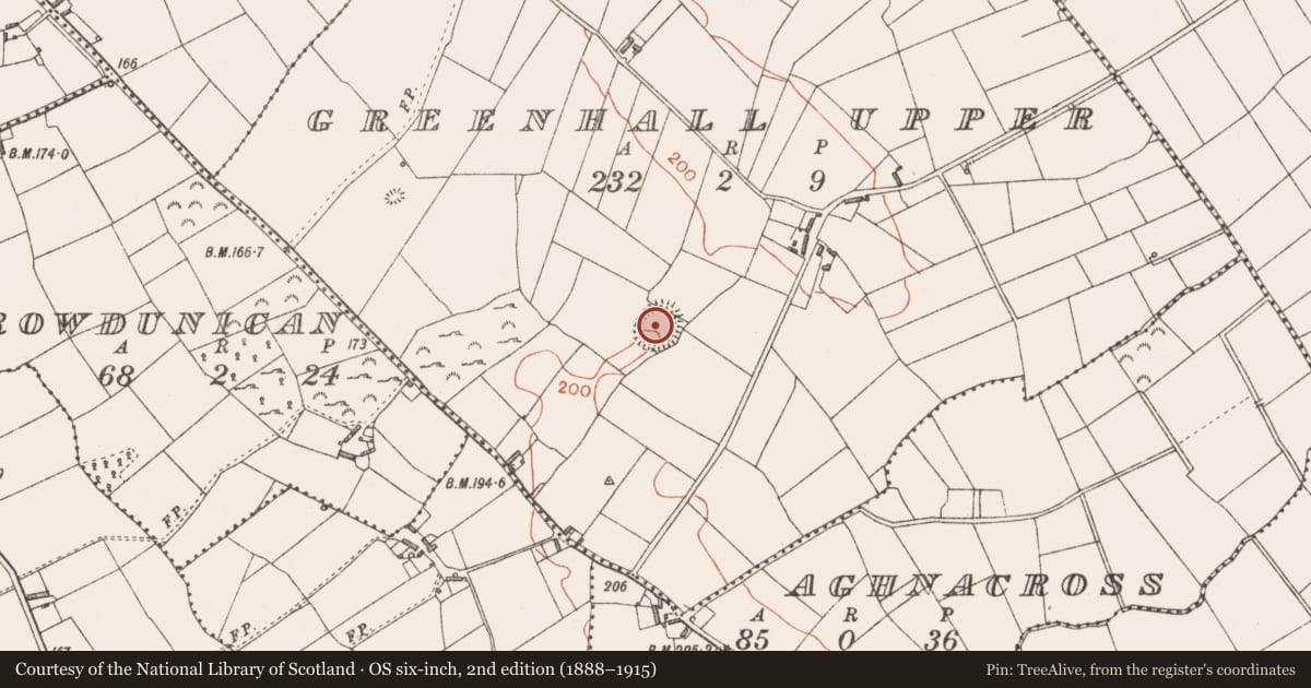 Ordnance Survey six-inch map, 2nd edition (1888–1915) covering the location of Ringfort - rath, Greenhall Upper, County Longford, with a pin at the register's coordinates