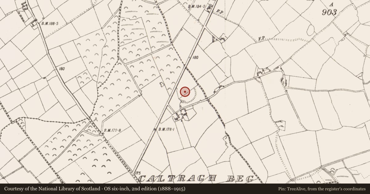 Ordnance Survey six-inch map, 2nd edition (1888–1915) covering the location of Enclosure, Caltragh Beg, County Longford, with a pin at the register's coordinates