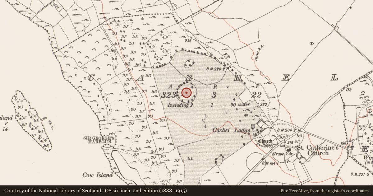 Ordnance Survey six-inch map, 2nd edition (1888–1915) covering the location of Designed landscape - tree-ring, Cashel, County Longford, with a pin at the register's coordinates