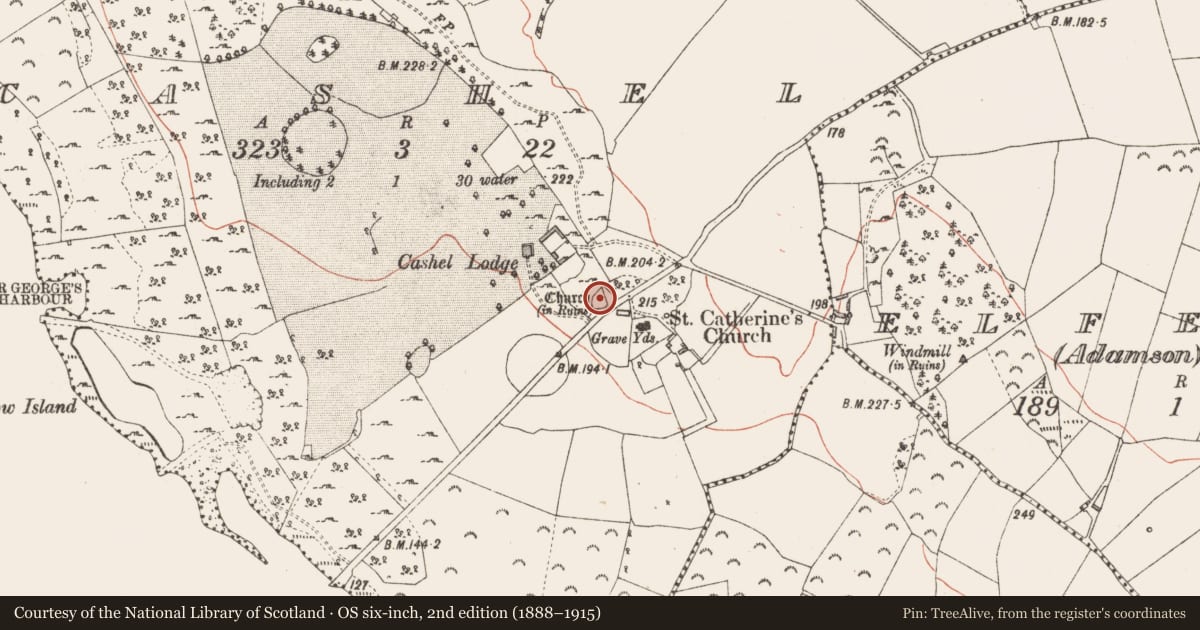 Ordnance Survey six-inch map, 2nd edition (1888–1915) covering the location of Ringfort - cashel, County Longford, with a pin at the register's coordinates
