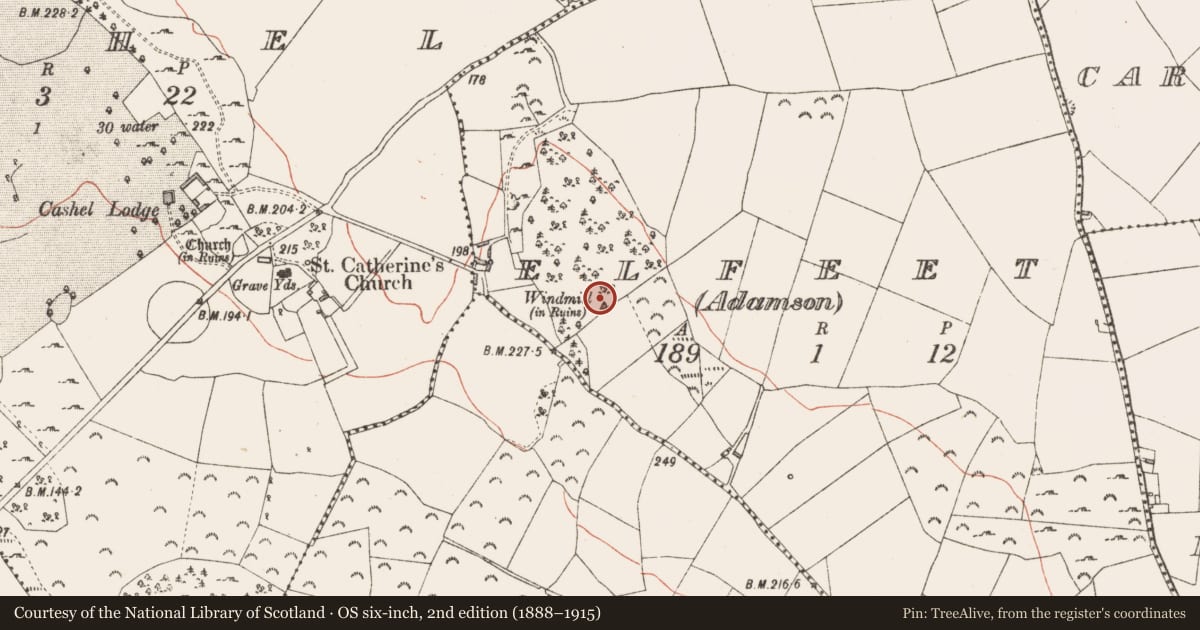 Ordnance Survey six-inch map, 2nd edition (1888–1915) covering the location of Windmill, Elfeet (Adamson), County Longford, with a pin at the register's coordinates