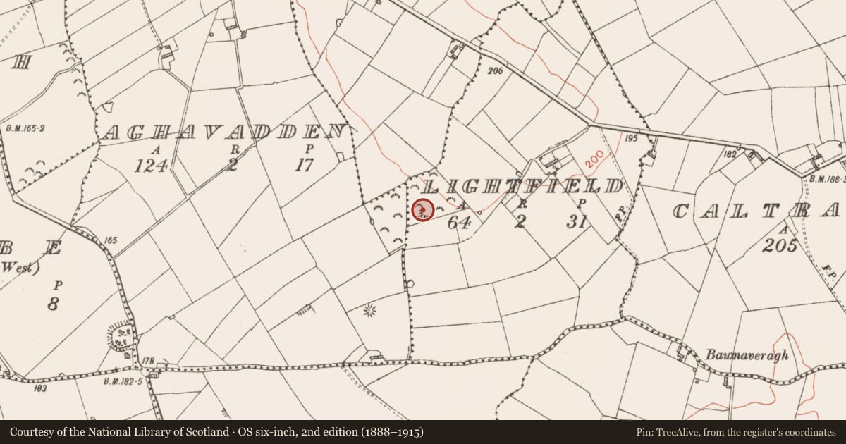 Ordnance Survey six-inch map, 2nd edition (1888–1915) covering the location of Ringfort - rath, Lightfield, County Longford, with a pin at the register's coordinates