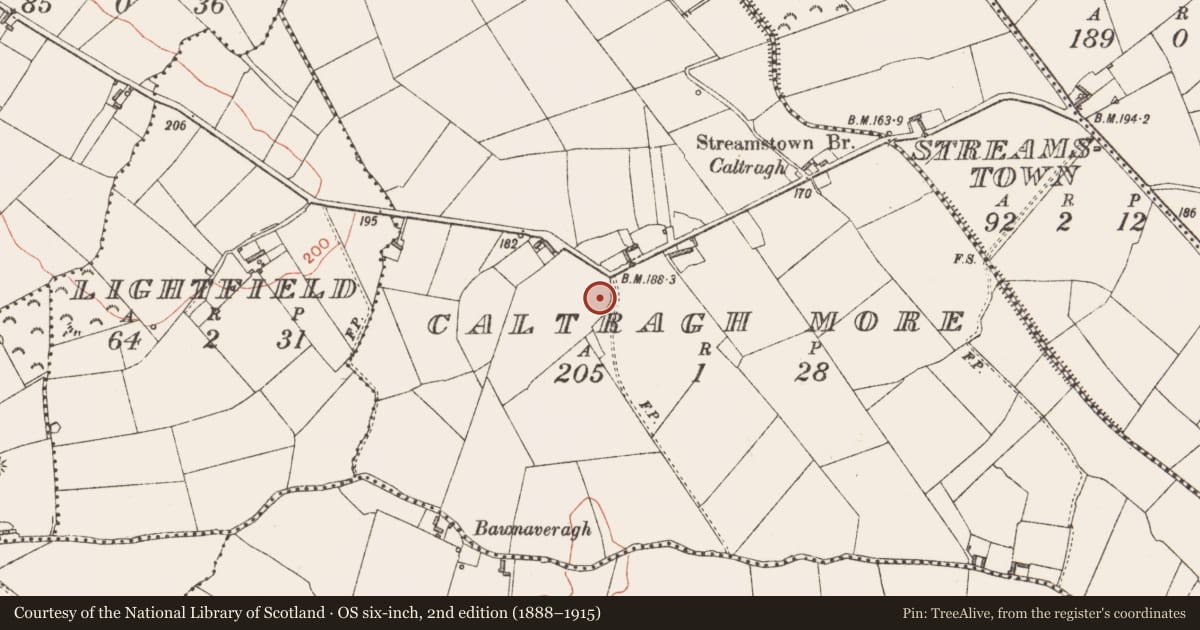 Ordnance Survey six-inch map, 2nd edition (1888–1915) covering the location of Castle - unclassified, Caltragh More, County Longford, with a pin at the register's coordinates