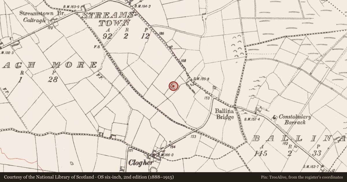 Ordnance Survey six-inch map, 2nd edition (1888–1915) covering the location of Ringfort - rath, Streamstown, County Longford, with a pin at the register's coordinates