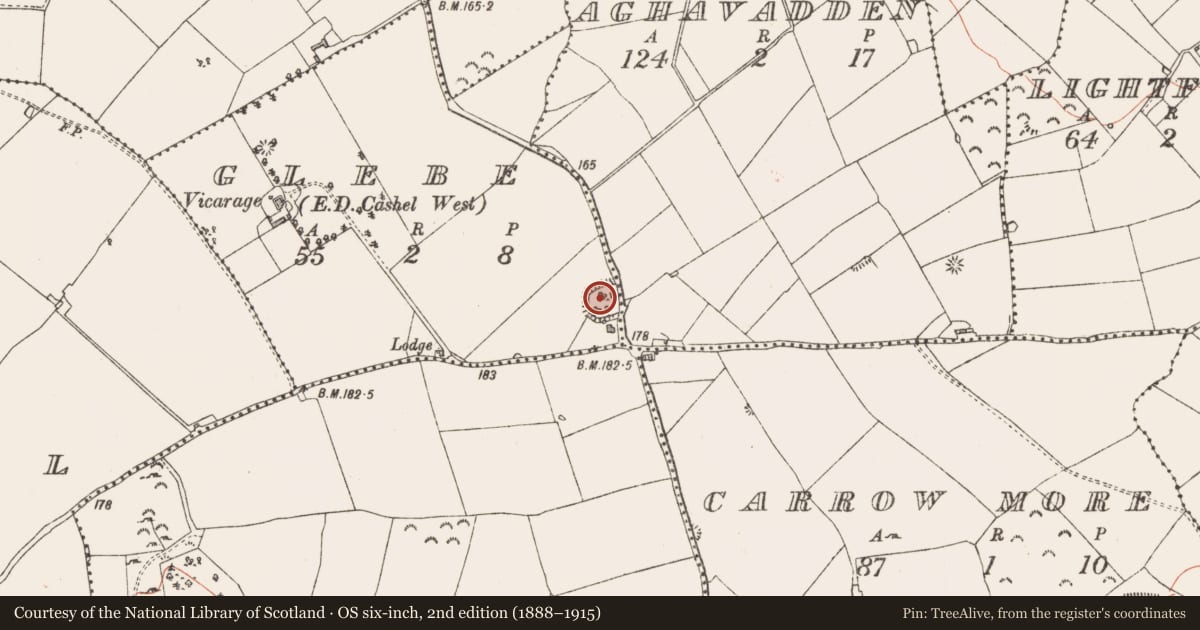 Ordnance Survey six-inch map, 2nd edition (1888–1915) covering the location of Ringfort - rath, Glebe, Aghavadden, County Longford, with a pin at the register's coordinates