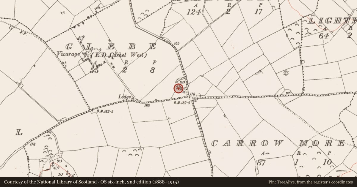 Ordnance Survey six-inch map, 2nd edition (1888–1915) covering the location of Souterrain, Aghavadden, Glebe, County Longford, with a pin at the register's coordinates
