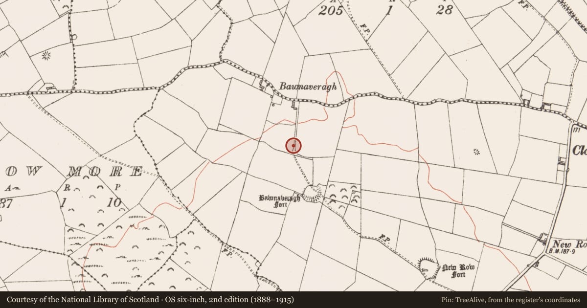 Ordnance Survey six-inch map, 2nd edition (1888–1915) covering the location of Ringfort - rath, Cornadowagh, County Longford, with a pin at the register's coordinates