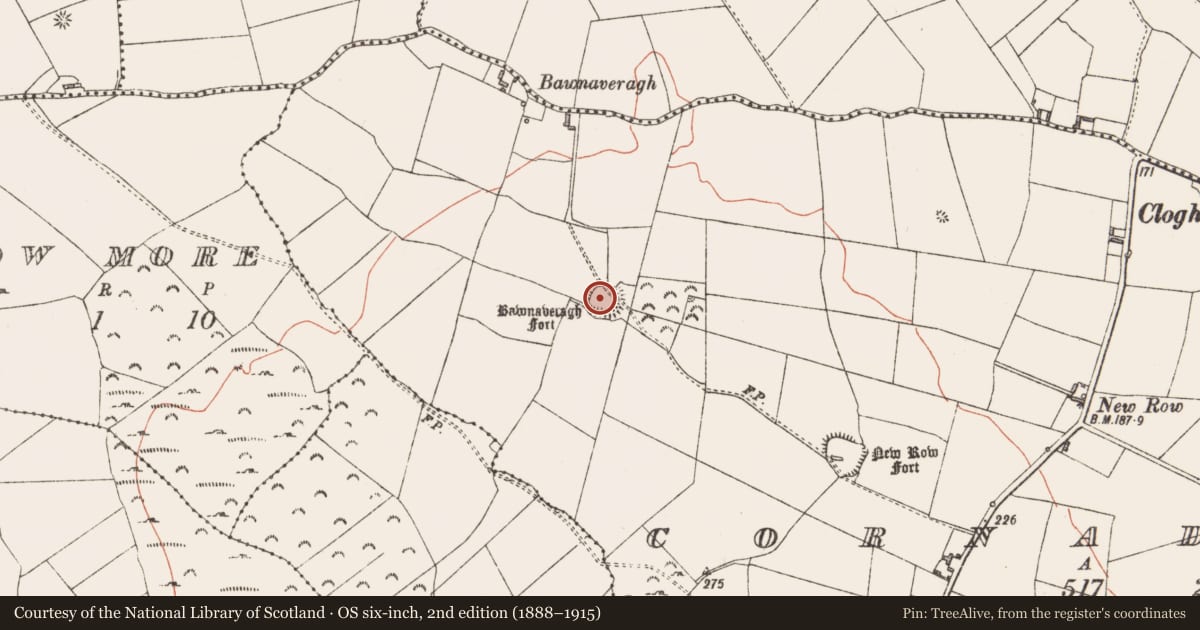Ordnance Survey six-inch map, 2nd edition (1888–1915) covering the location of Ringfort - rath, Cornadowagh, County Longford, with a pin at the register's coordinates