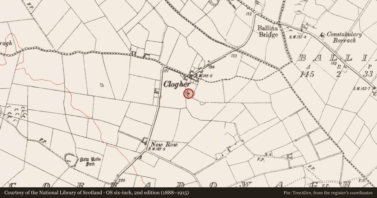 Ordnance Survey six-inch map, 2nd edition (1888–1915) covering the location of Ringfort - rath, Cornadowagh, County Longford, with a pin at the register's coordinates