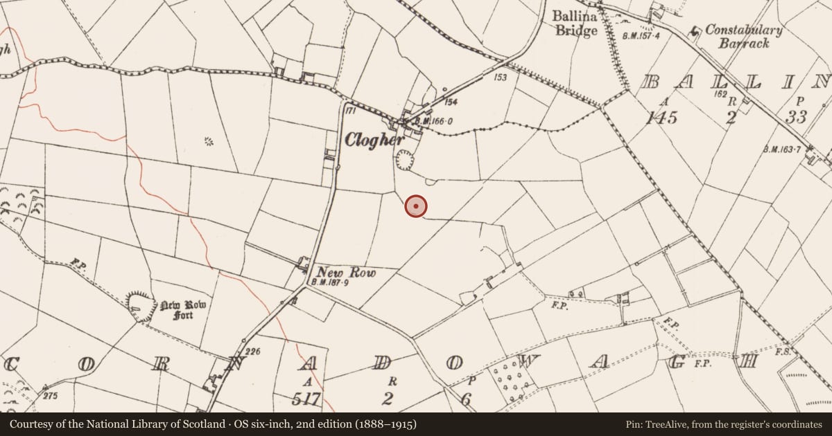 Ordnance Survey six-inch map, 2nd edition (1888–1915) covering the location of Ringfort - rath, Cornadowagh, County Longford, with a pin at the register's coordinates