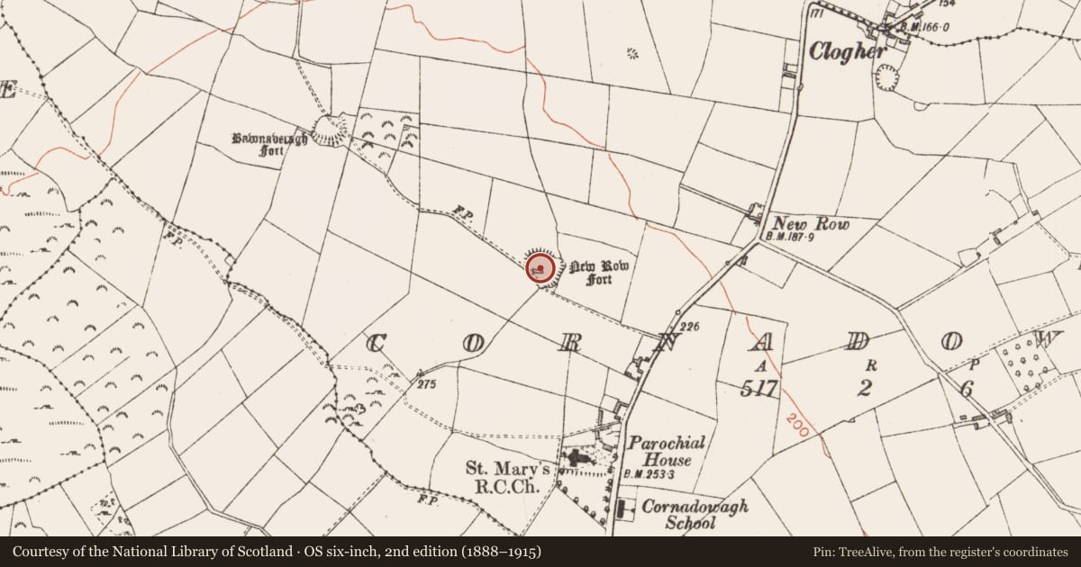 Ordnance Survey six-inch map, 2nd edition (1888–1915) covering the location of Ringfort - rath, Cornadowagh, County Longford, with a pin at the register's coordinates
