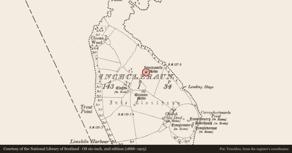 Ordnance Survey six-inch map, 2nd edition (1888–1915) covering the location of Cairn - unclassified, Inchcleraun, County Longford, with a pin at the register's coordinates