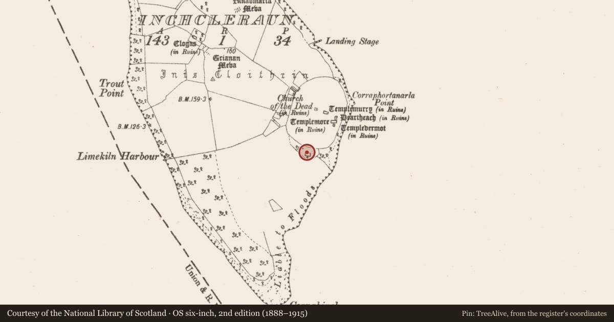 Ordnance Survey six-inch map, 2nd edition (1888–1915) covering the location of Cross-slab, Inchcleraun, County Longford, with a pin at the register's coordinates