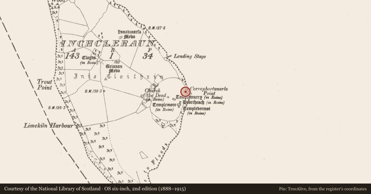 Ordnance Survey six-inch map, 2nd edition (1888–1915) covering the location of Leacht, Inchcleraun, County Longford, with a pin at the register's coordinates
