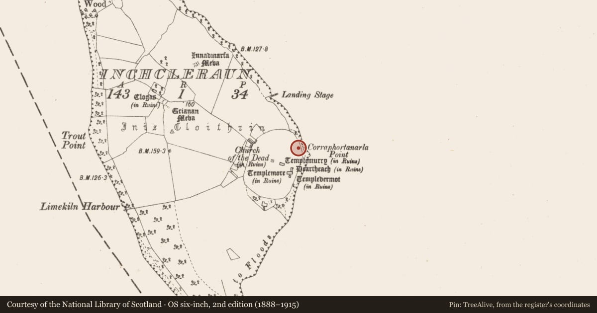 Ordnance Survey six-inch map, 2nd edition (1888–1915) covering the location of Slipway, Inchcleraun, County Longford, with a pin at the register's coordinates