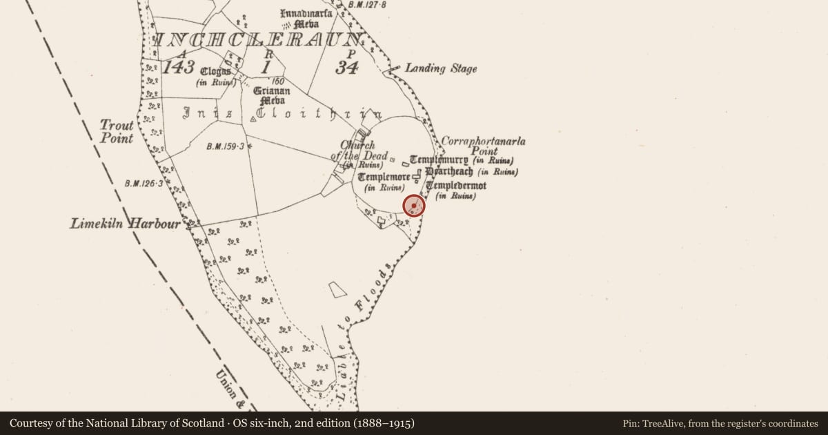 Ordnance Survey six-inch map, 2nd edition (1888–1915) covering the location of Bullaun stone, Inchcleraun, County Longford, with a pin at the register's coordinates