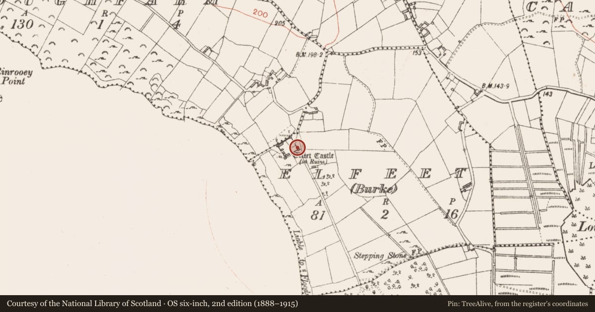 Ordnance Survey six-inch map, 2nd edition (1888–1915) covering the location of Castle - tower house, Elfeet (Burke), County Longford, with a pin at the register's coordinates