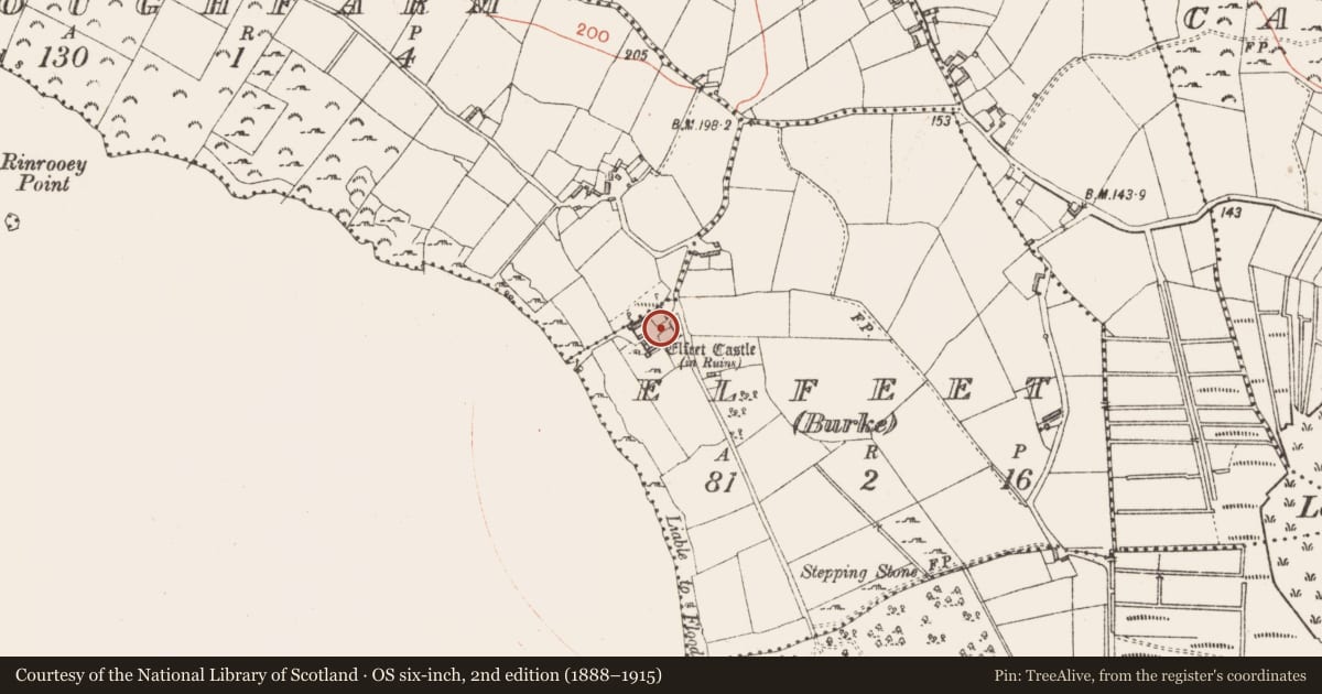 Ordnance Survey six-inch map, 2nd edition (1888–1915) covering the location of Castle - Anglo-Norman masonry castle, Elfeet (Burke), County Longford, with a pin at the register's coordinates