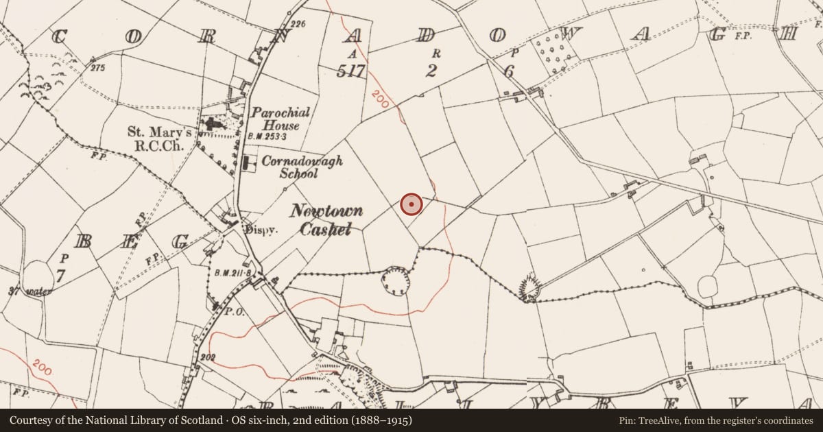 Ordnance Survey six-inch map, 2nd edition (1888–1915) covering the location of Ringfort - rath, Cornadowagh, County Longford, with a pin at the register's coordinates