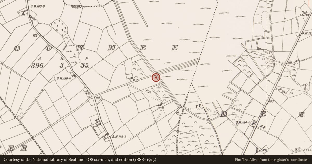 Ordnance Survey six-inch map, 2nd edition (1888–1915) covering the location of Road - class 3 togher, Cloonmee, County Longford, with a pin at the register's coordinates