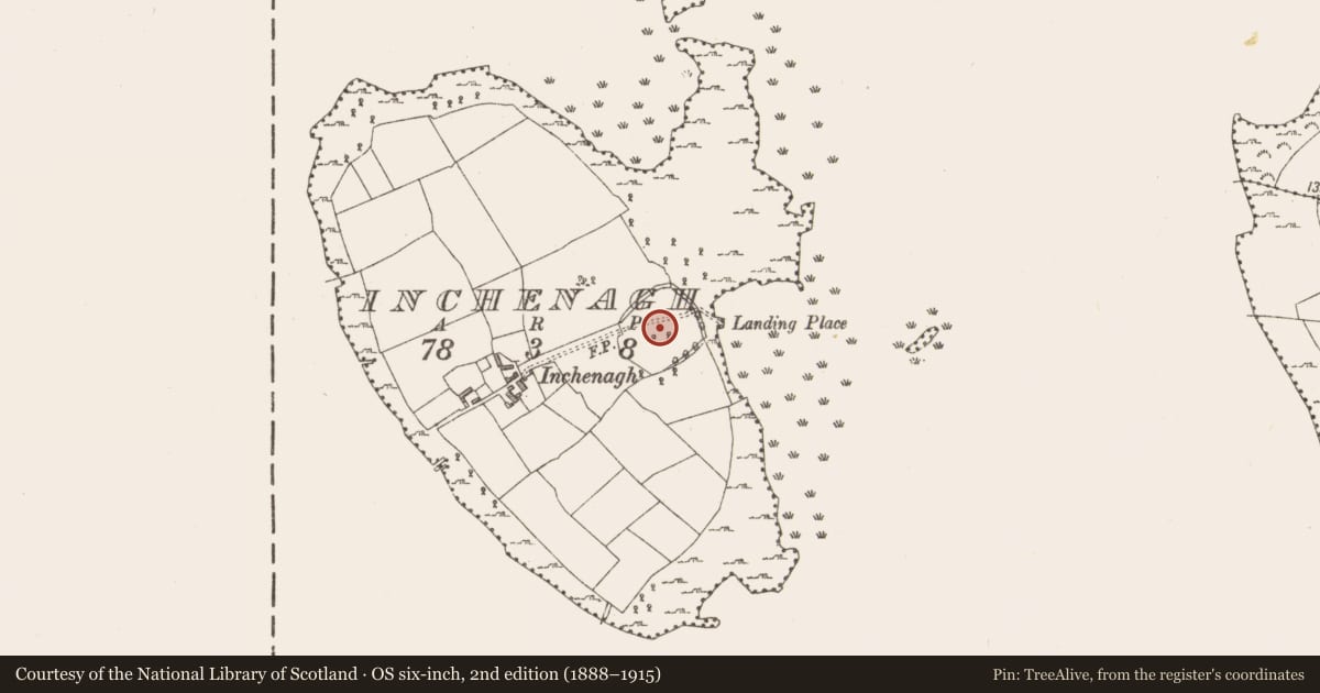 Ordnance Survey six-inch map, 2nd edition (1888–1915) covering the location of Enclosure, Inchenagh, County Longford, with a pin at the register's coordinates
